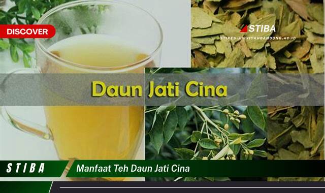 Temukan 9 Manfaat Teh Daun Jati Cina yang Jarang Diketahui