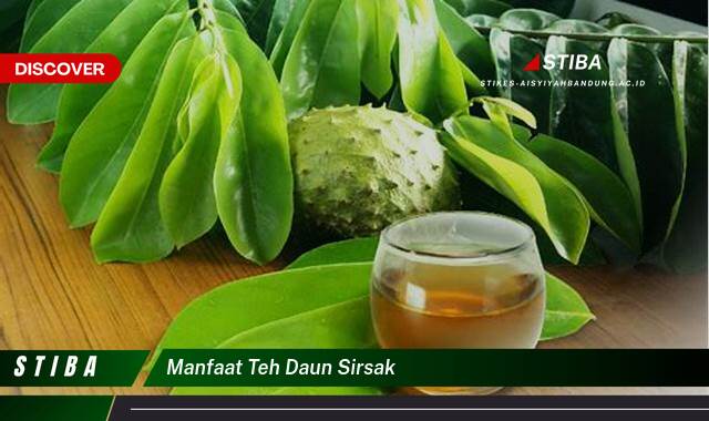 Ketahui 10 Manfaat manfaat teh daun sirsak yang tidak Semua Orang Tau