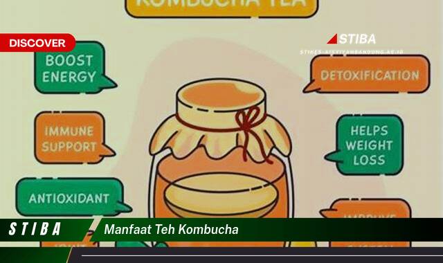 Temukan 10 Manfaat Teh Kombucha yang Tak Semua Orang Tau