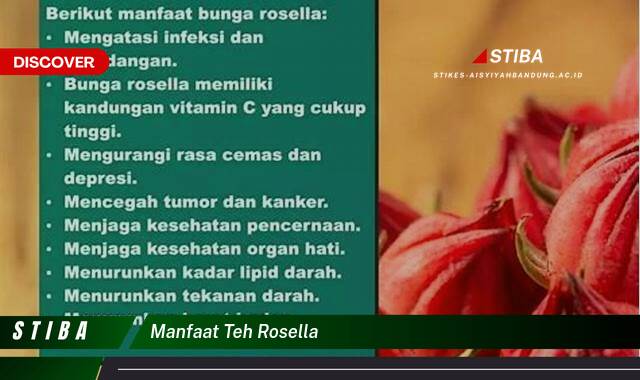 Inilah 9 Manfaat Teh Rosella yang Wajib Kamu Ketahui Inilah 9 Manfaat Teh Rosella yang Wajib Kamu Ketahui