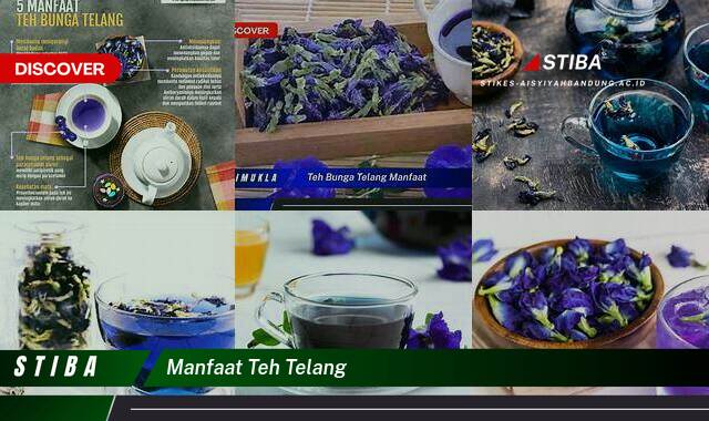 Ketahui 9 Manfaat Teh Telang yang Jarang Diketahui
