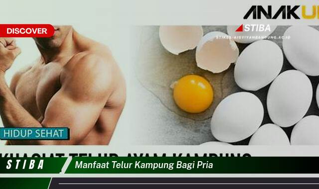 Ketahui 10 Manfaat Telur Kampung bagi Pria yang Jarang Diketahui