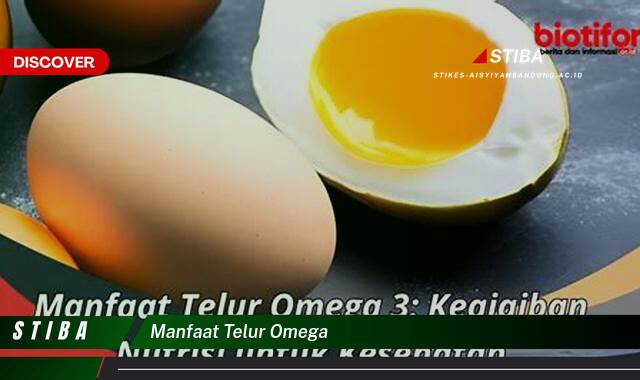 Inilah 8 Manfaat Telur Omega yang Wajib Kamu Intip