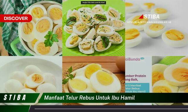 Temukan 8 Manfaat Telur Rebus untuk Ibu Hamil yang Tak Semua Orang Tahu