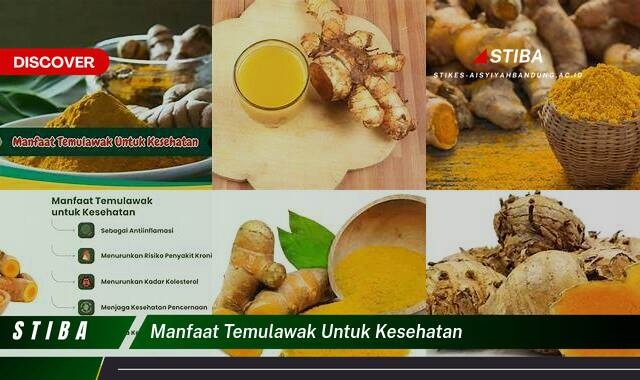 Ketahui 10 Manfaat Temulawak untuk Kesehatan yang Tak Banyak Orang Tahu Ketahui 10 Manfaat Temulawak untuk Kesehatan yang Tak Banyak Orang Tahu