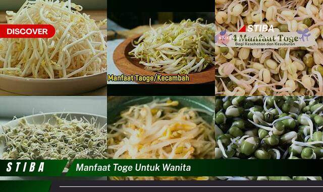 Ketahui 9 Manfaat Toge Untuk Wanita yang Bikin Kamu Penasaran