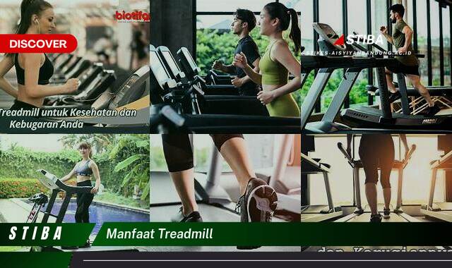 Ketahui 8 Manfaat Treadmill yang Bikin Kamu Penasaran Ketahui 8 Manfaat Treadmill yang Bikin Kamu Penasaran